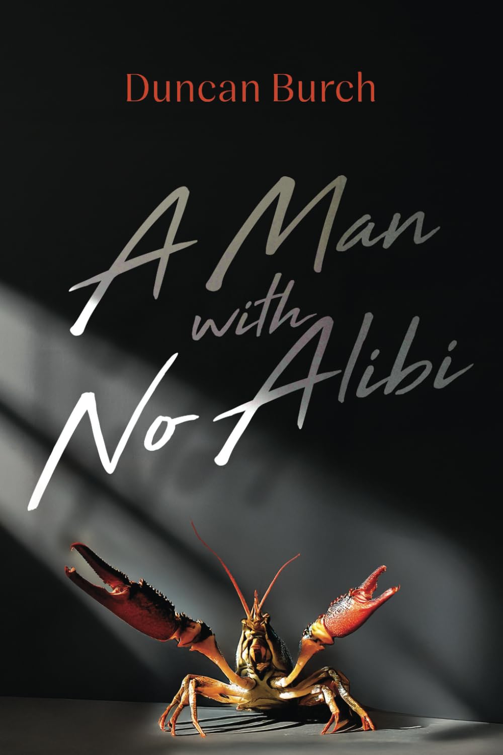 A Man with No Alibi — Book Cover